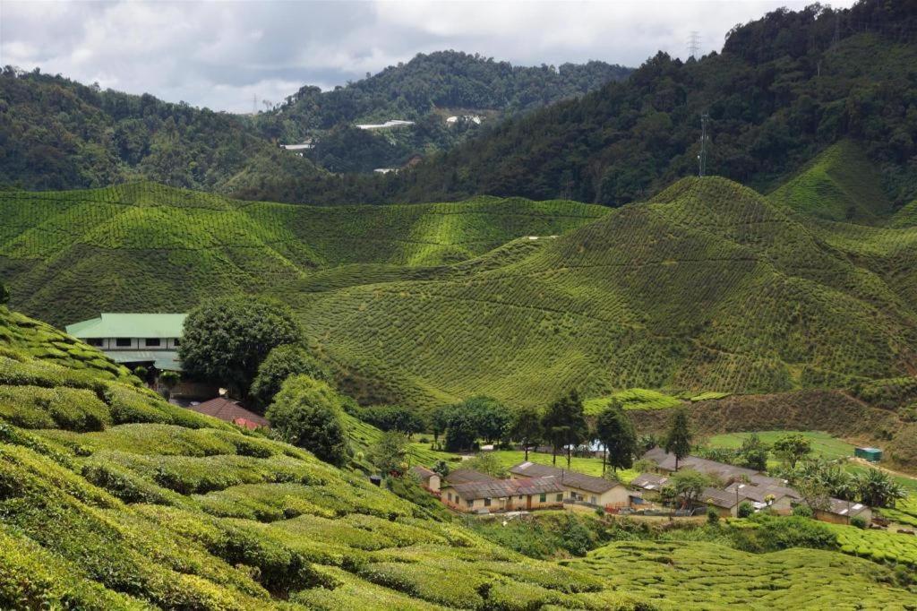 Krs Pines Hotel Cameron Highlands Eksteriør billede