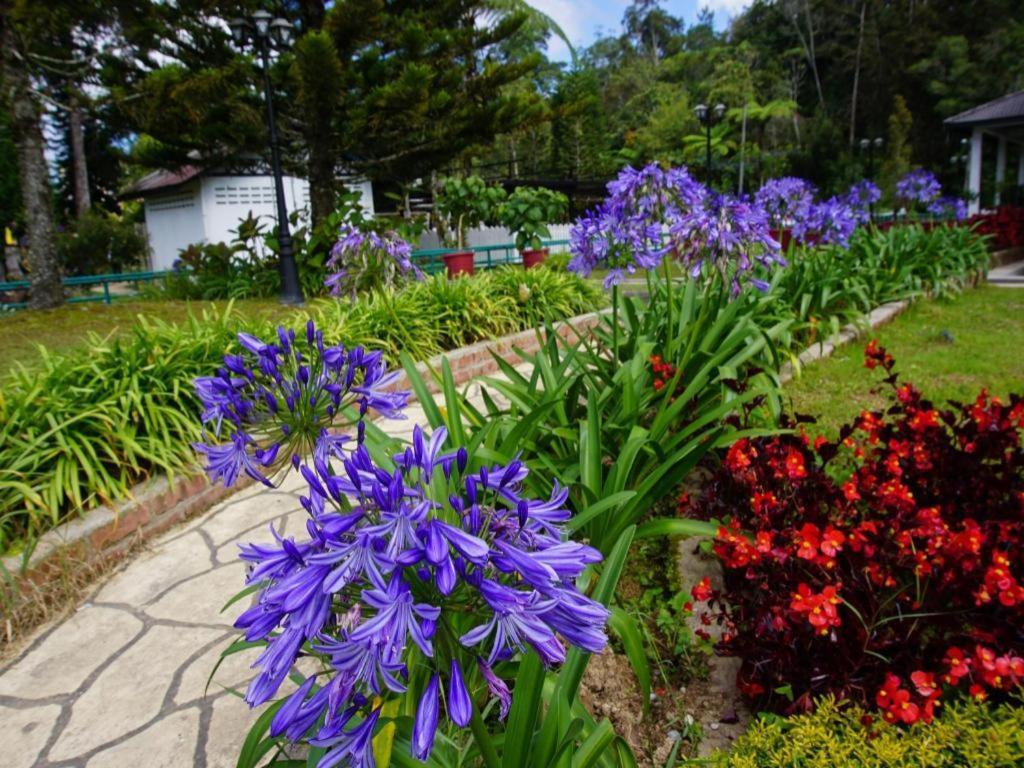 Krs Pines Hotel Cameron Highlands Eksteriør billede
