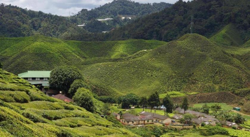 Krs Pines Hotel Cameron Highlands Eksteriør billede